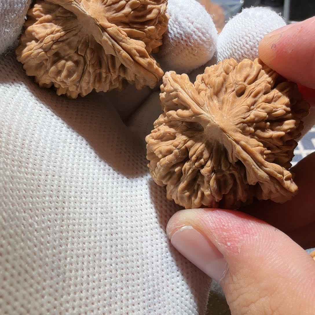 文玩核桃把件向**鹰汗高楼