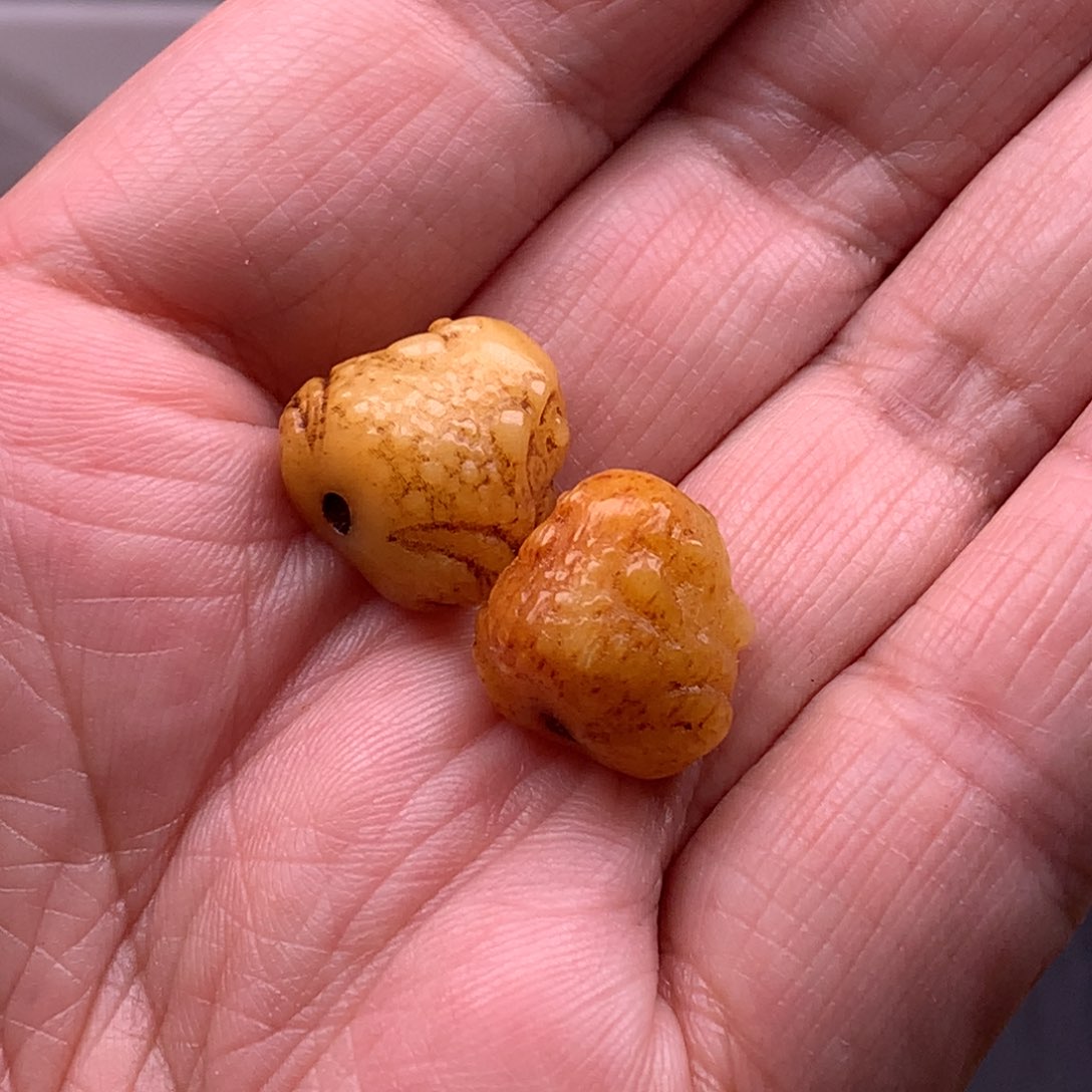 驼骨其他天天都在盘