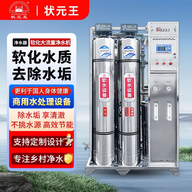软水处理设备商用工业井水地下水大型软水机锅炉除垢全自动