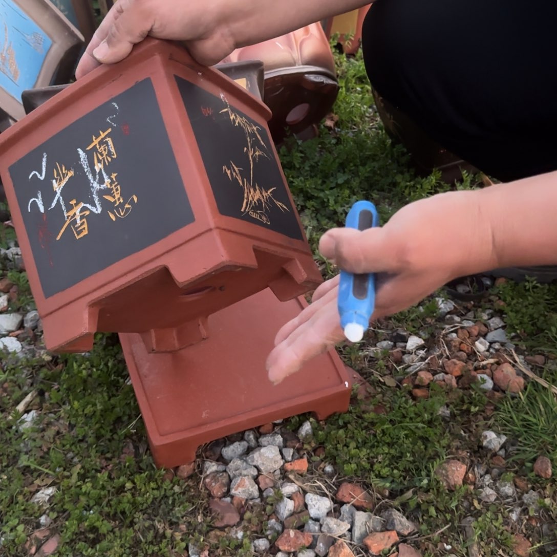 紫砂花盆花盆盆盆栽