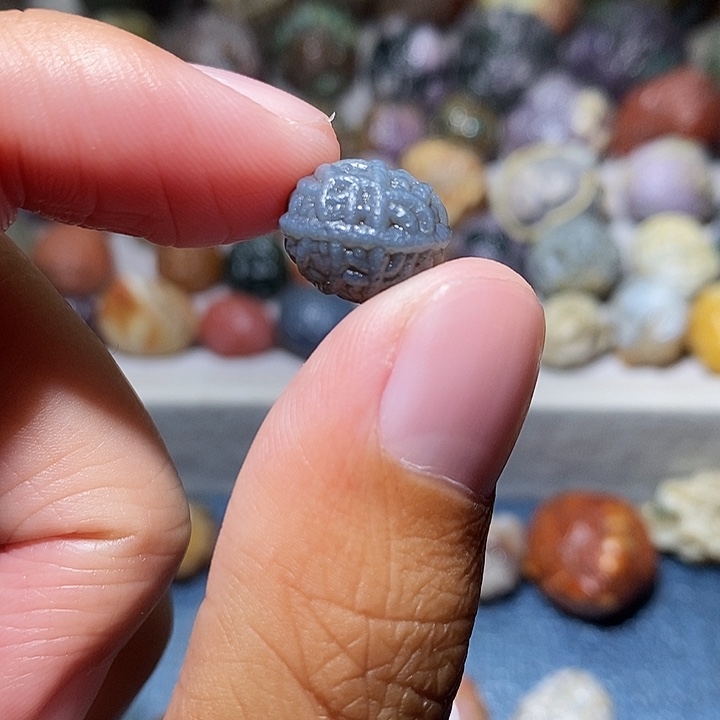 石头弓*长精品筋脉单科