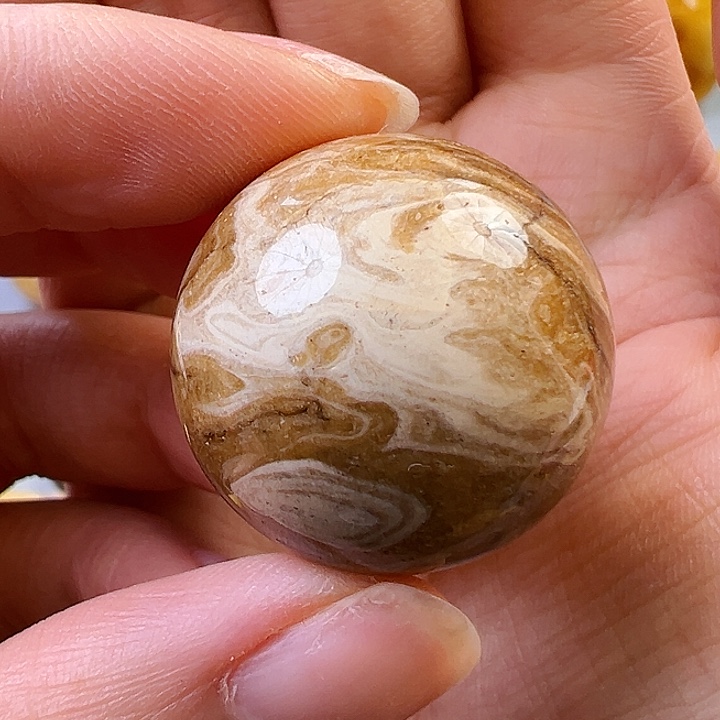 蜜蜡颈饰未镶嵌蜜蜡