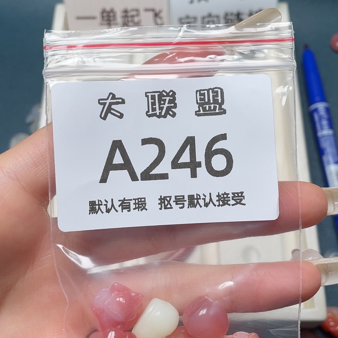 A****玛瑙/玉髓未镶嵌颈饰