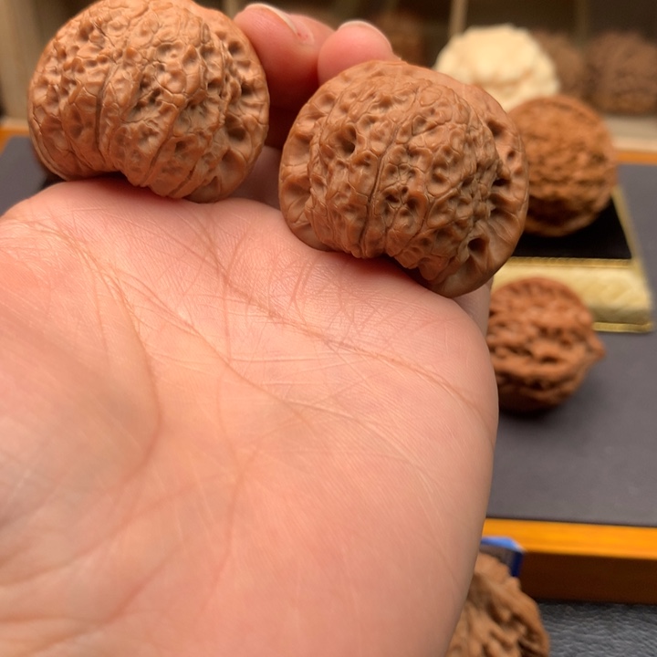 文玩核桃吊坠血麒麟