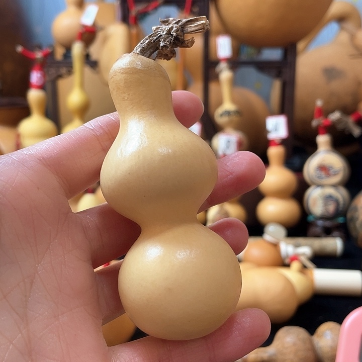 俺***人葫芦丝老师在讲英语听力时