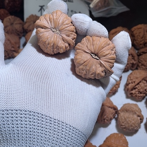 文玩核桃把件南瓜