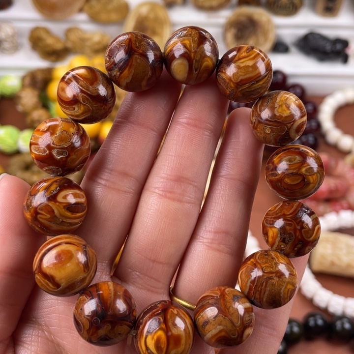 驼骨其他人工养殖16