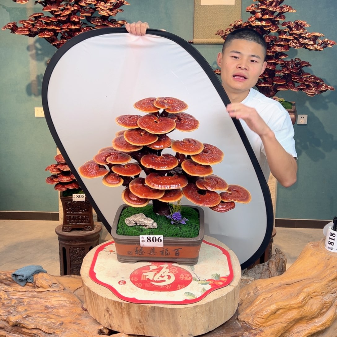 无花朵888888888888