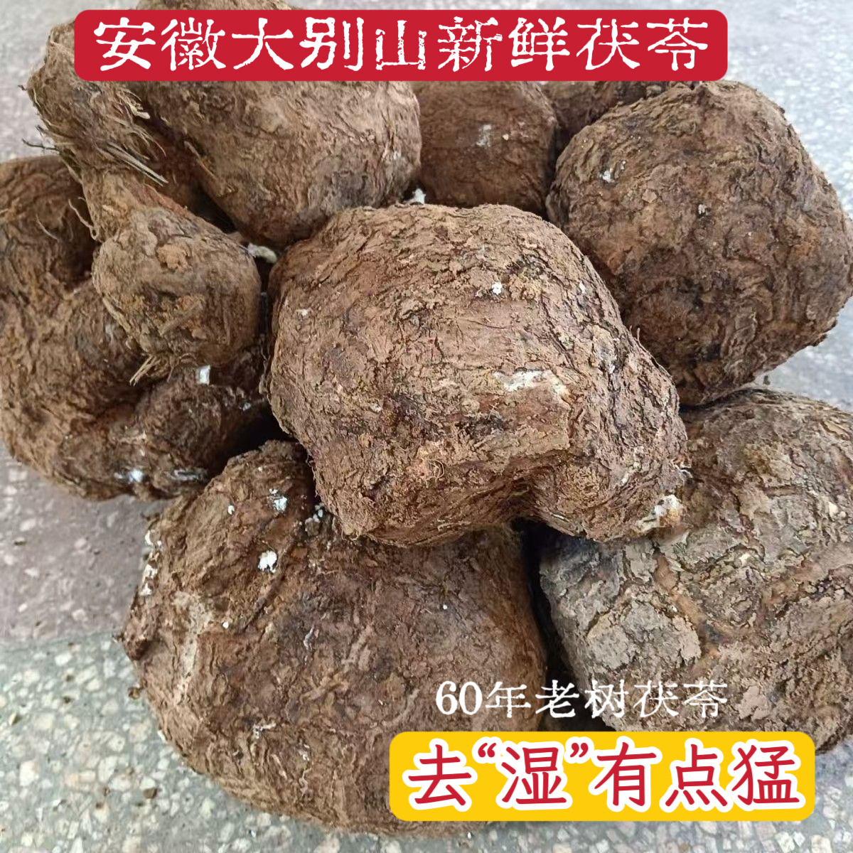 安徽大别山岳西老树新鲜茯苓深山新鲜原生态茯苓整个可煮粥泡水喝