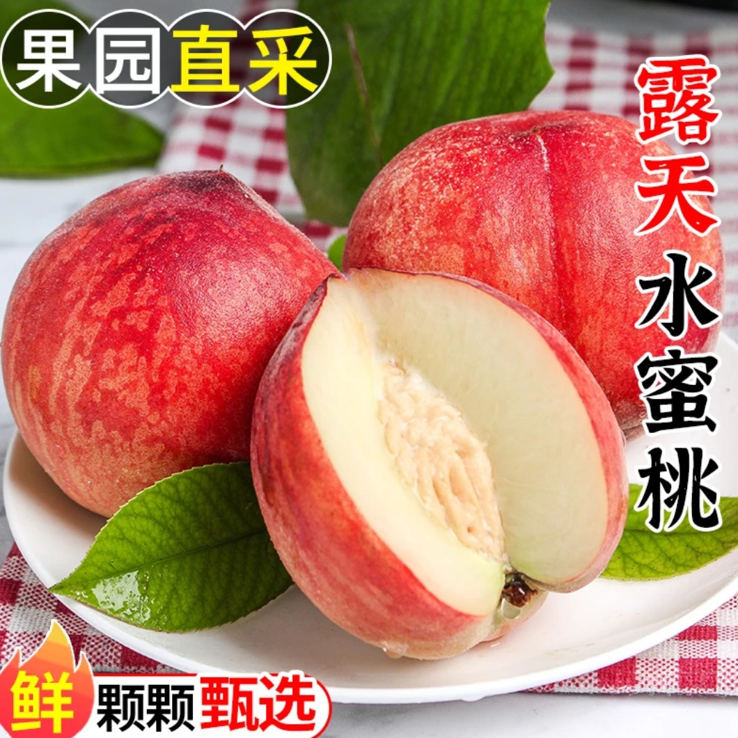 {顺丰包邮现摘现发}采摘水蜜桃买3斤送2斤果香浓郁软脆多吃现摘现发当季新鲜水果桃子安徽省