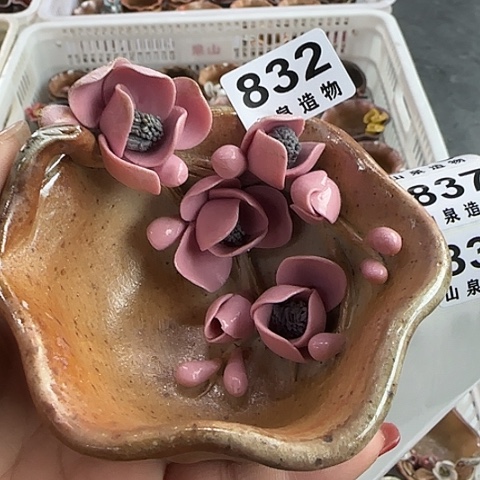 瓷片柴烧柴烧柴烧832