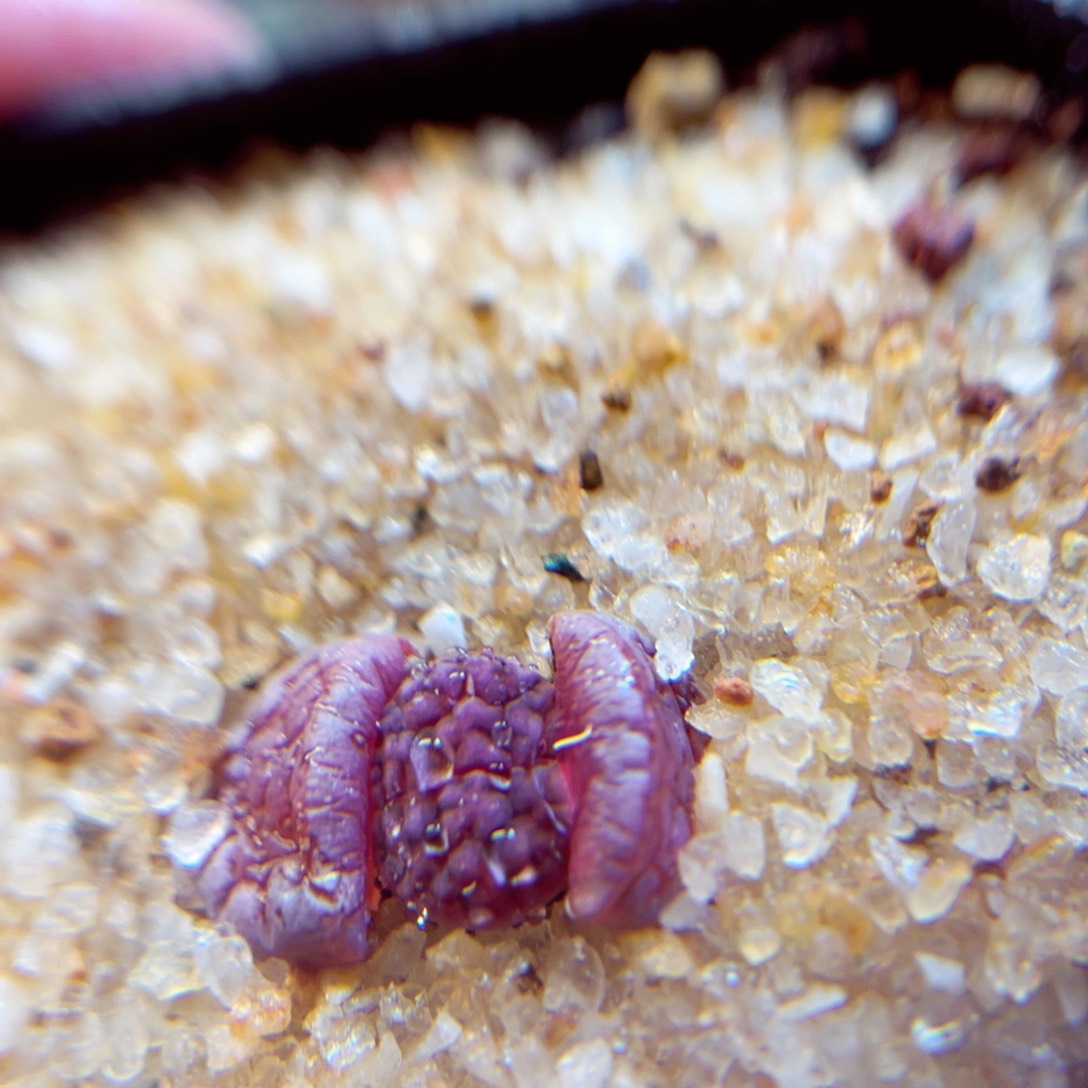 301。85888888888888