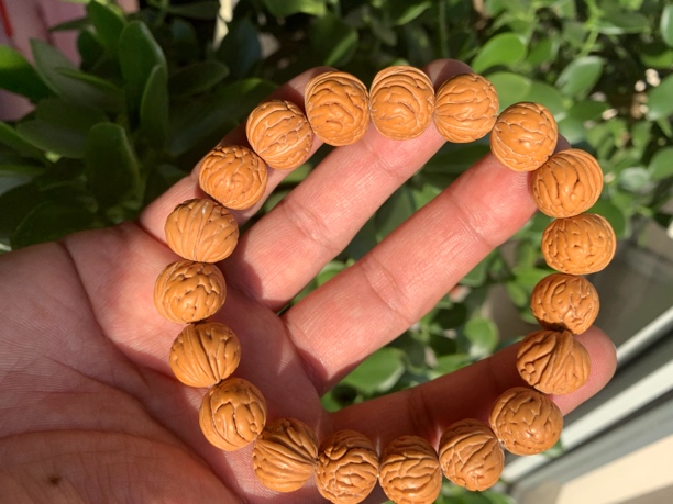 大肠纹桃核手串野生