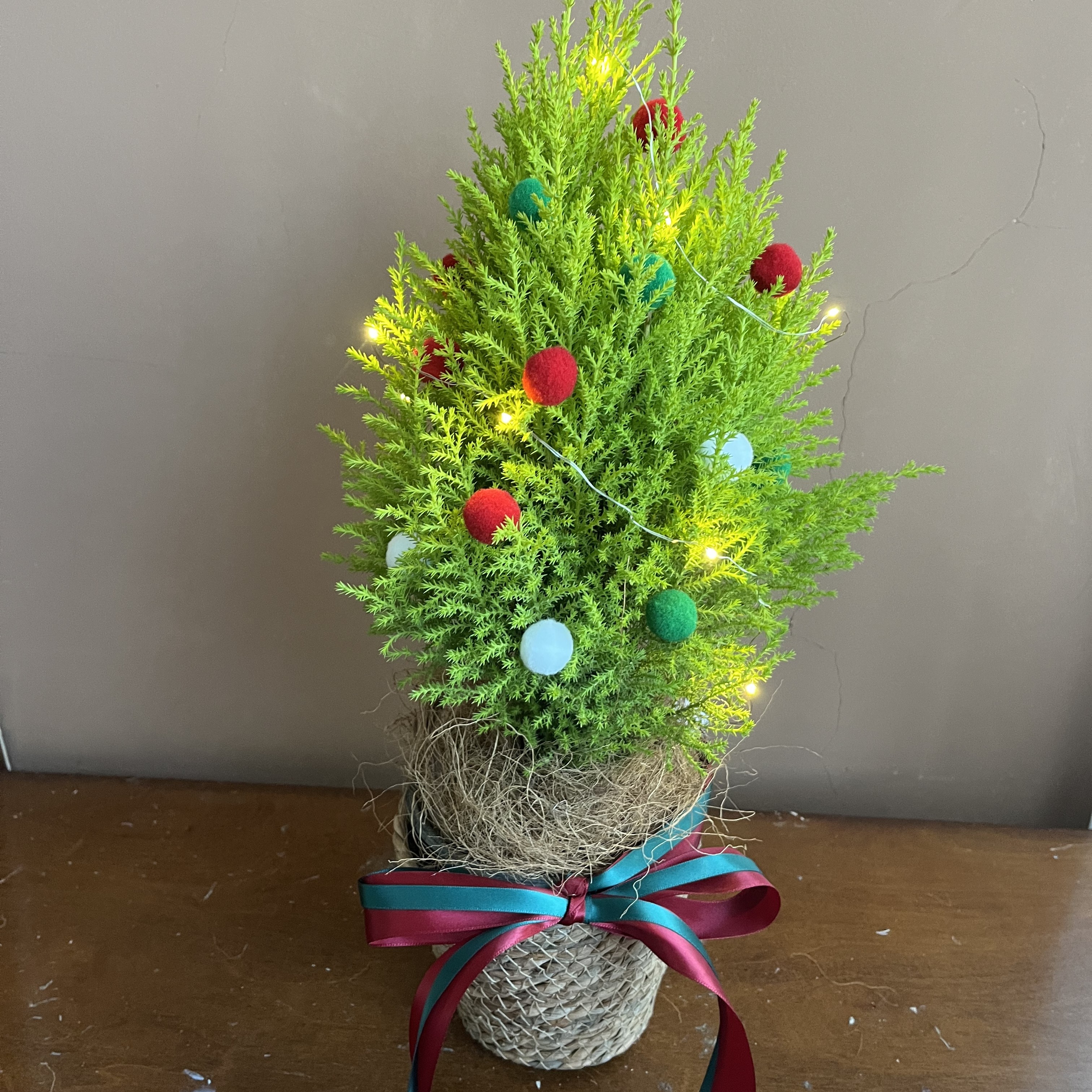 三岁花集-小香松圣诞树（一单中通包邮,不参与空运）              