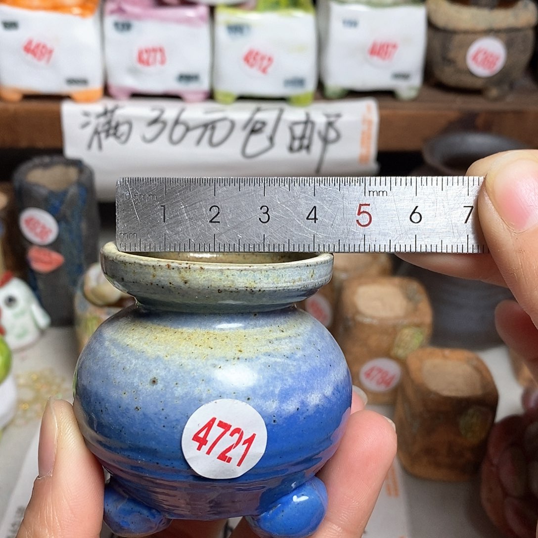 红陶拍5送一个小