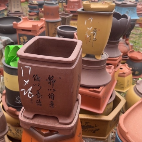 紫砂花盆紫砂花盆盆景盆栽