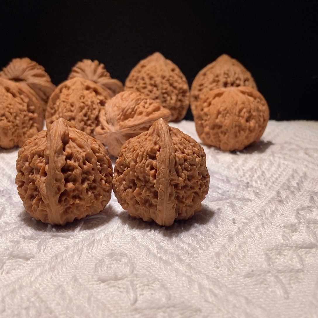 南****极品三角疆，38+尺 