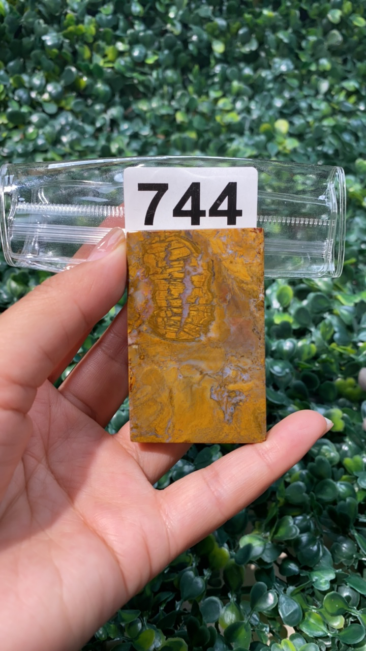 天然北票硅化玉牌子长：62mm宽：40mm厚：10mm