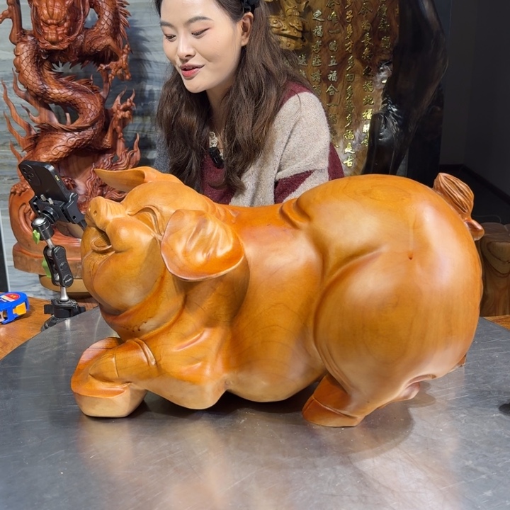 香樟木光**生长50厘米高30厘米