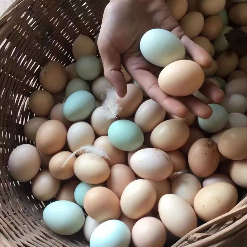 广西农家土鸡蛋/30个