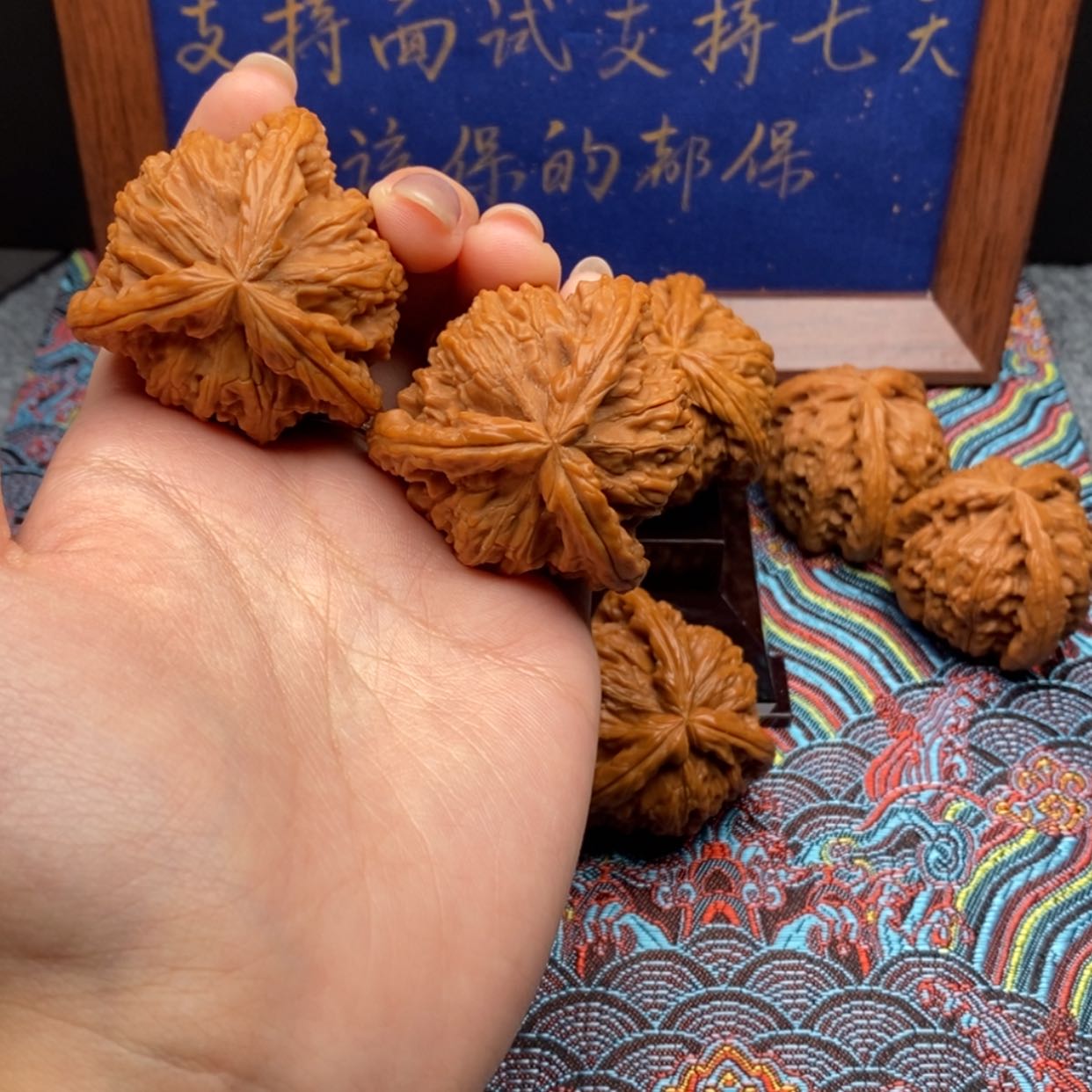 【闪购商品】俏****）白狮子11111111