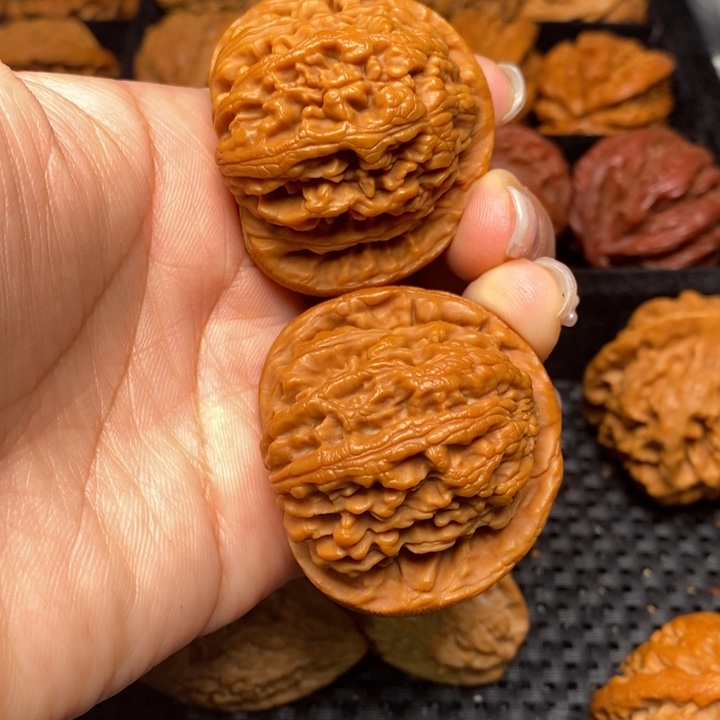 秦岭野生文玩核桃6