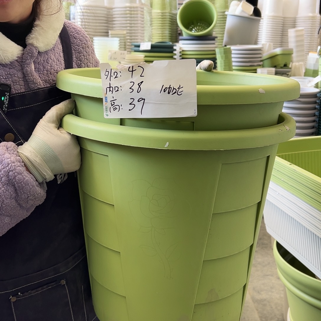 玫瑰盆420#果绿3个