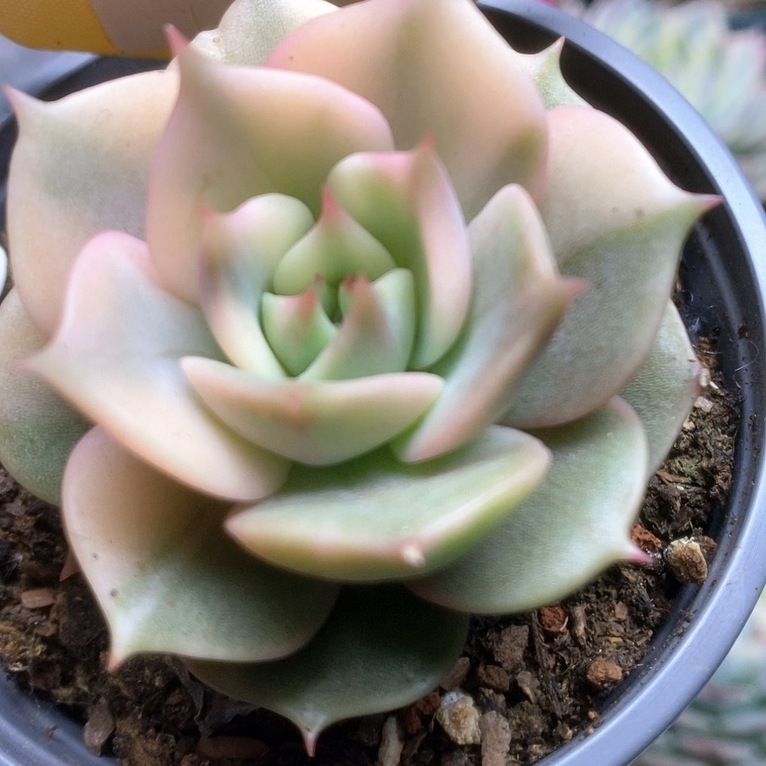 074贝加尔湖锦锦锦锦