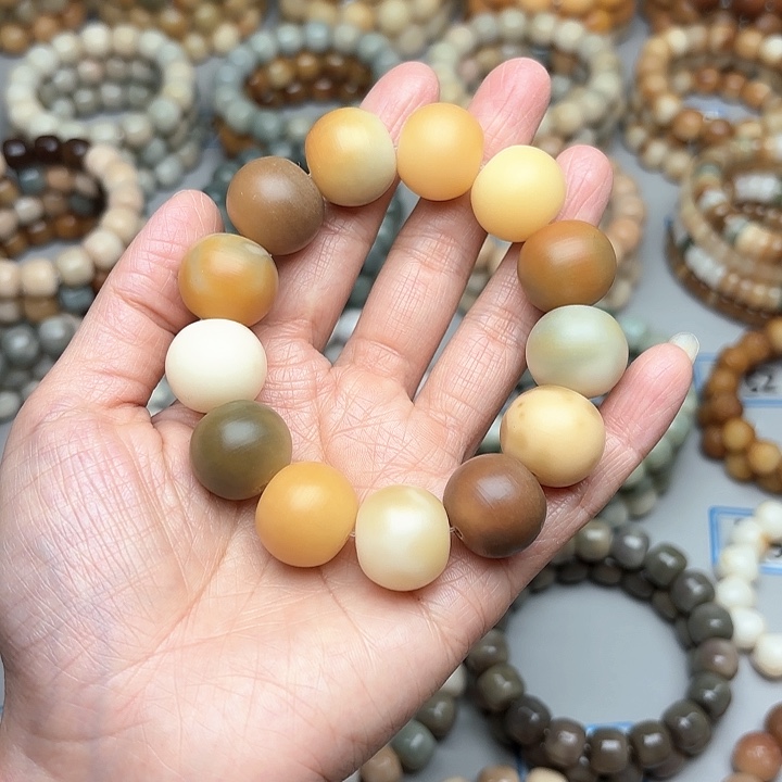 菩提根/象牙果手串