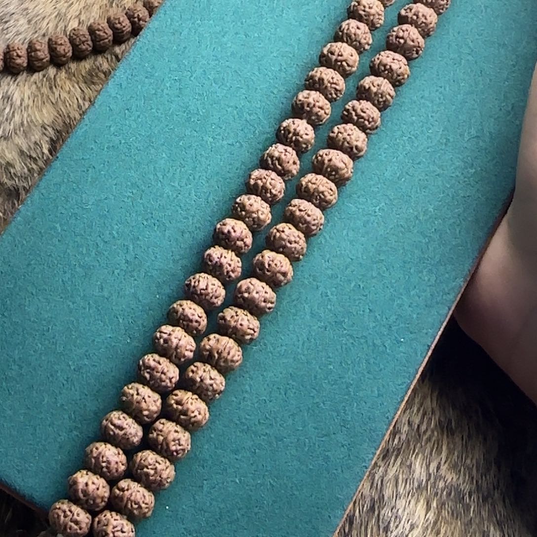 金刚菩提吊坠树王