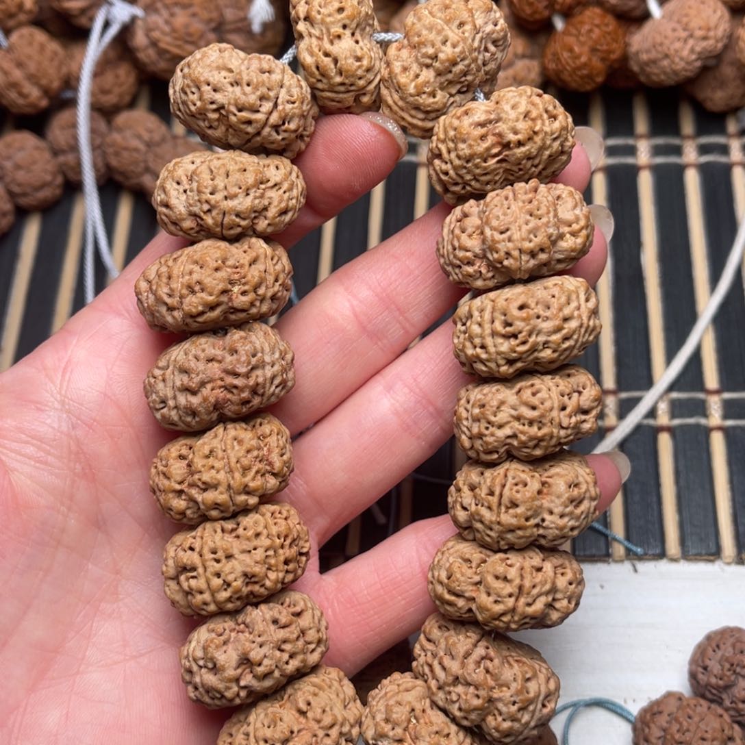 菩提尼泊尔大金刚梅花夹板25