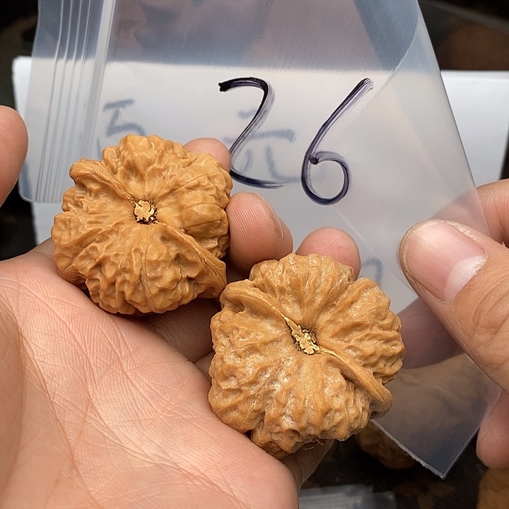 吊坠文玩核桃W96449474747969