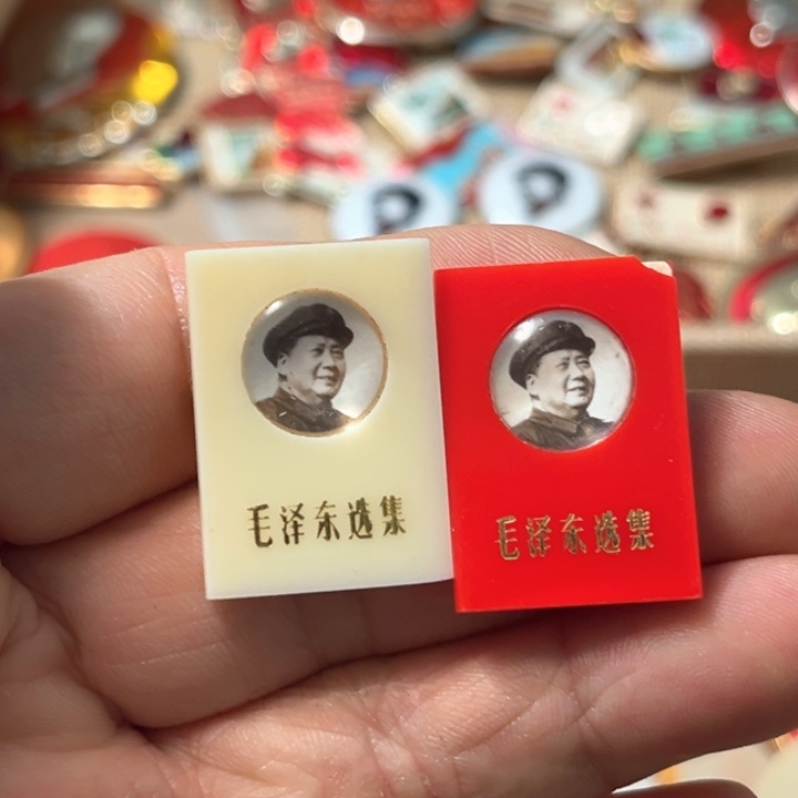 *****其他普通金属普通纪念章一对