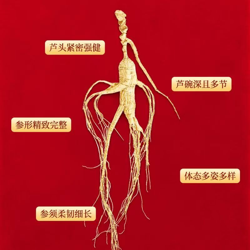 长白山林下参野山参干货可泡酒煲汤泡水打粉切片.