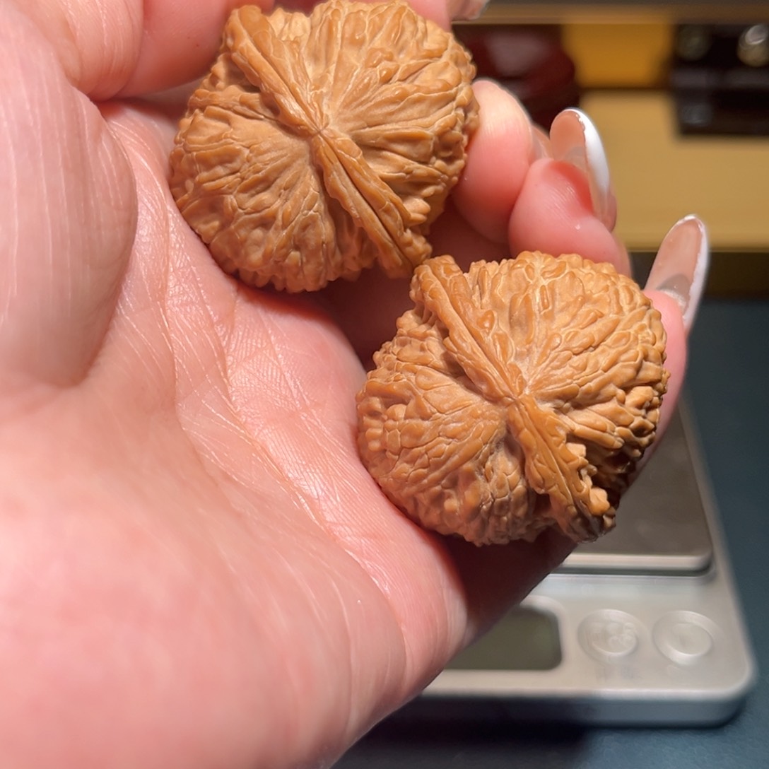 文玩核桃把件白狮子36
