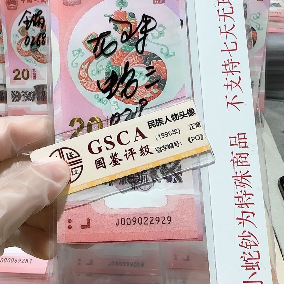 纸009022909。。。。。。。。数3龙珠