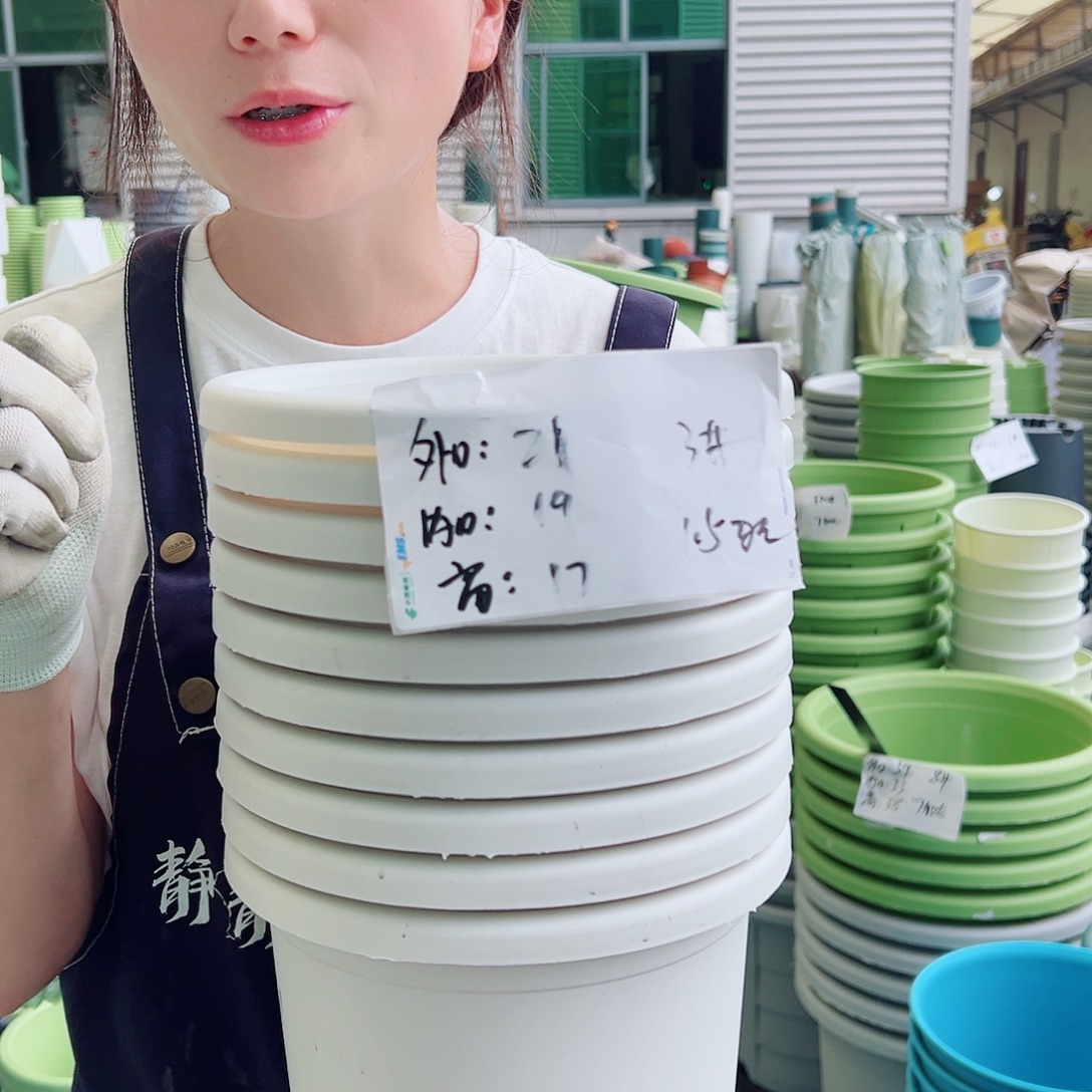 四季盆3#白色10个无托