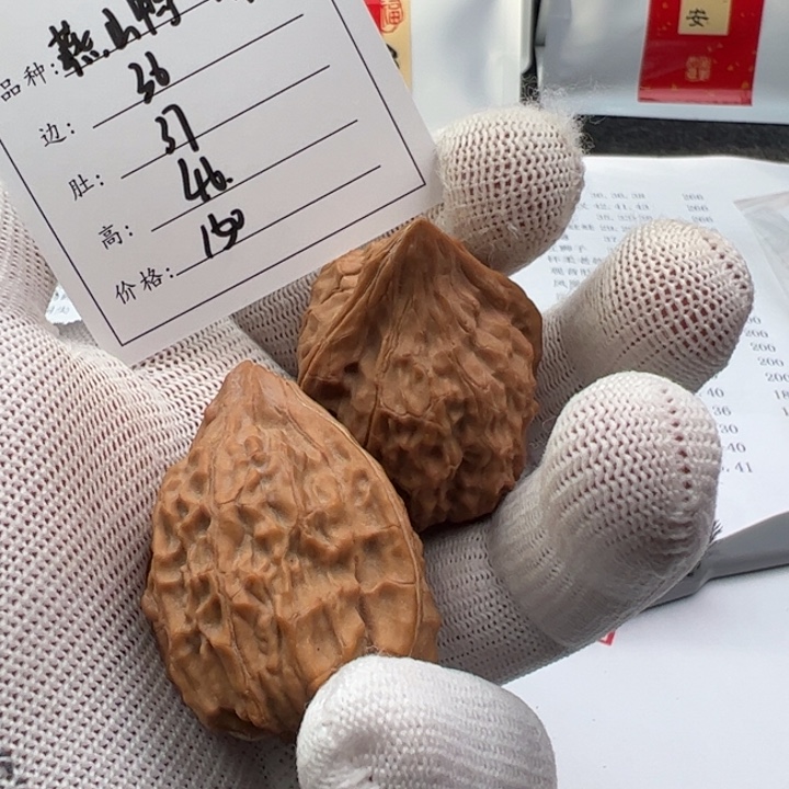 向***生把件文玩核桃燕山鸭嘴211