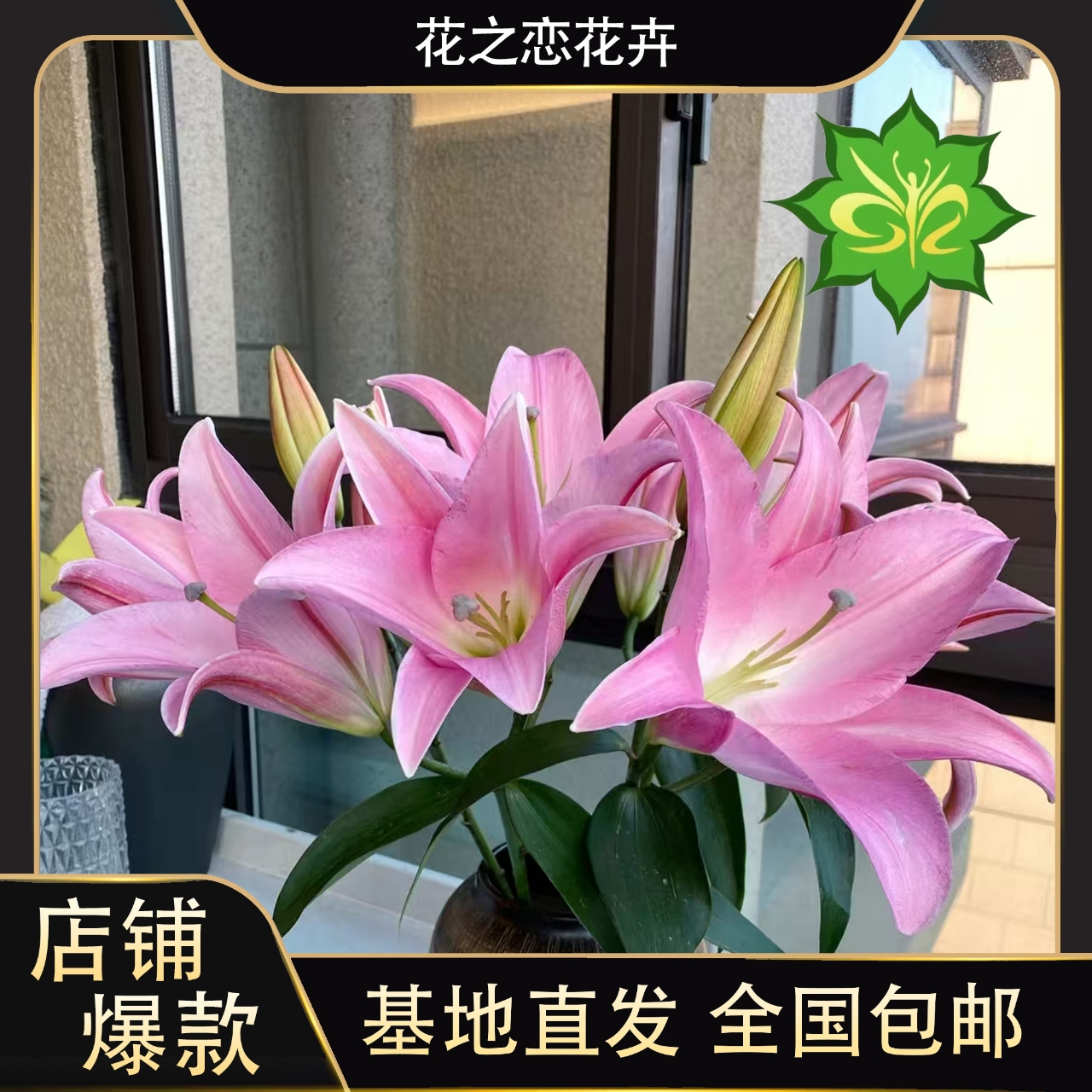 特价星光百合  居家办公优选  （东北基地直发）