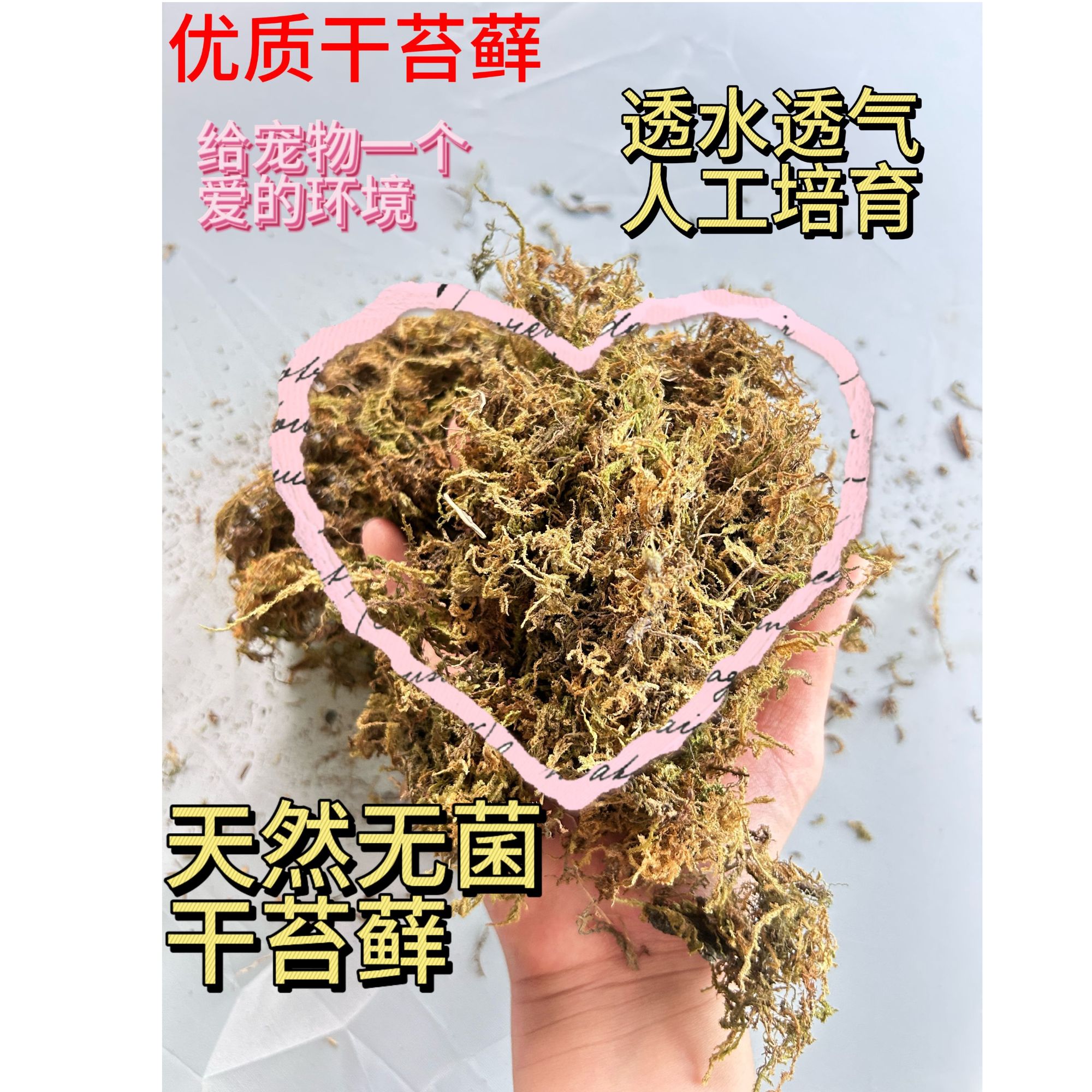 优质水苔蝴蝶兰花专用干苔藓宠物冬眠爬宠垫材