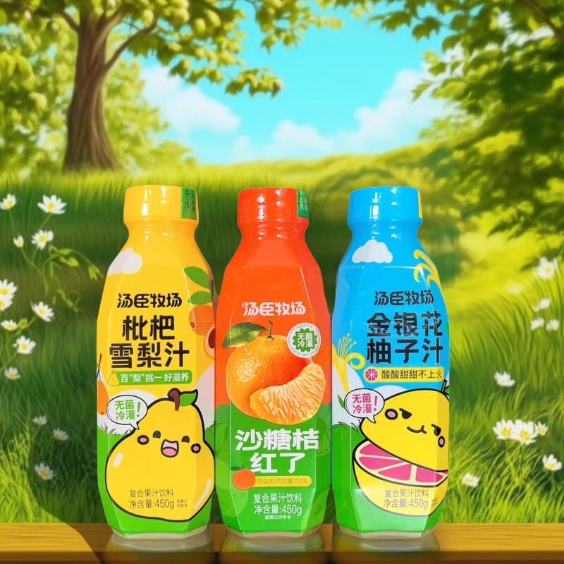 【只发新疆】汤臣牧场金银花柚子汁杨枝甘露复合果汁饮料450g*瓶