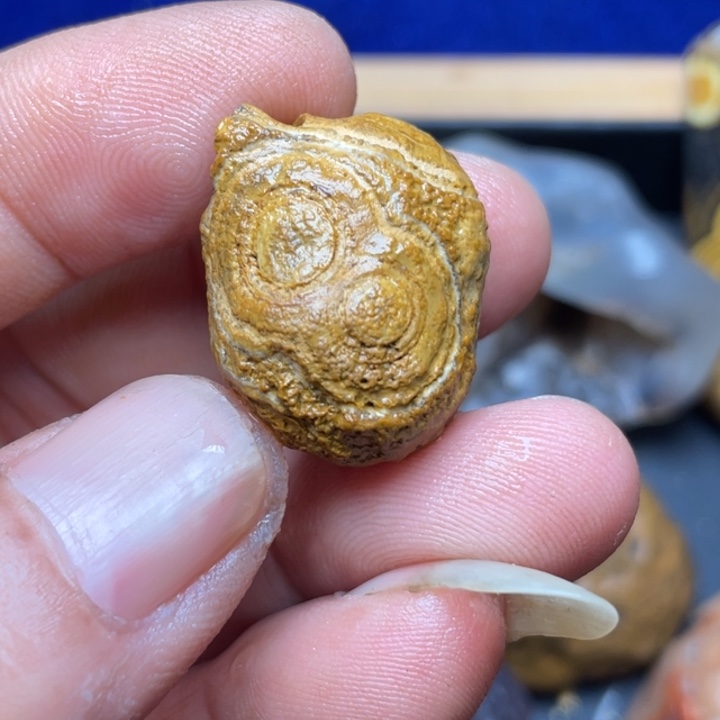 石材纯天然原石奇石294