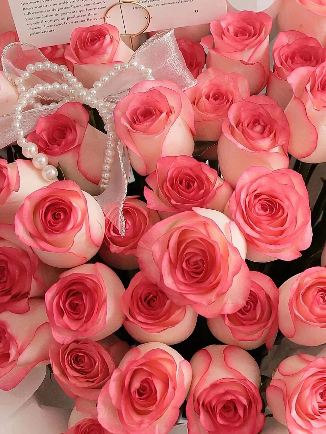 艾莎玫瑰10枝 鲜花 收到需醒花 云南基地直发 揽收无法退款