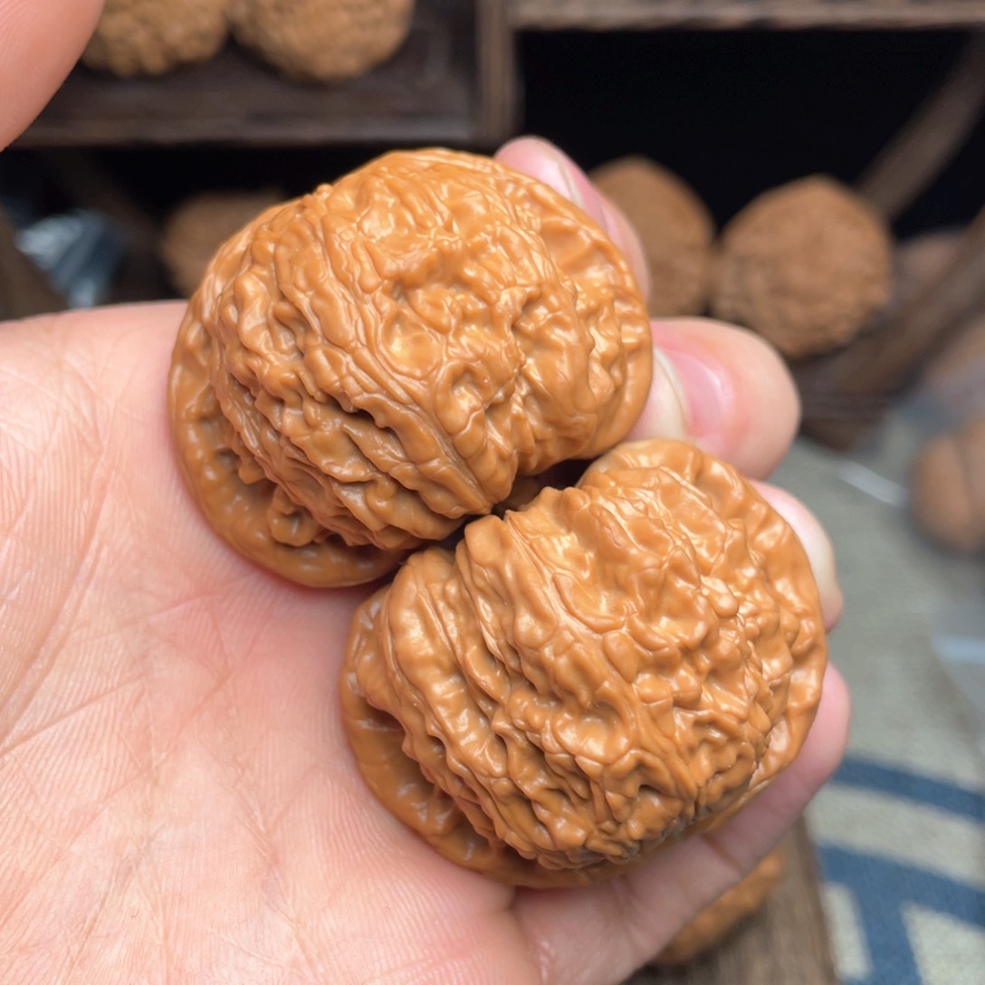 文玩核桃把件44.8毕业高货白狮子