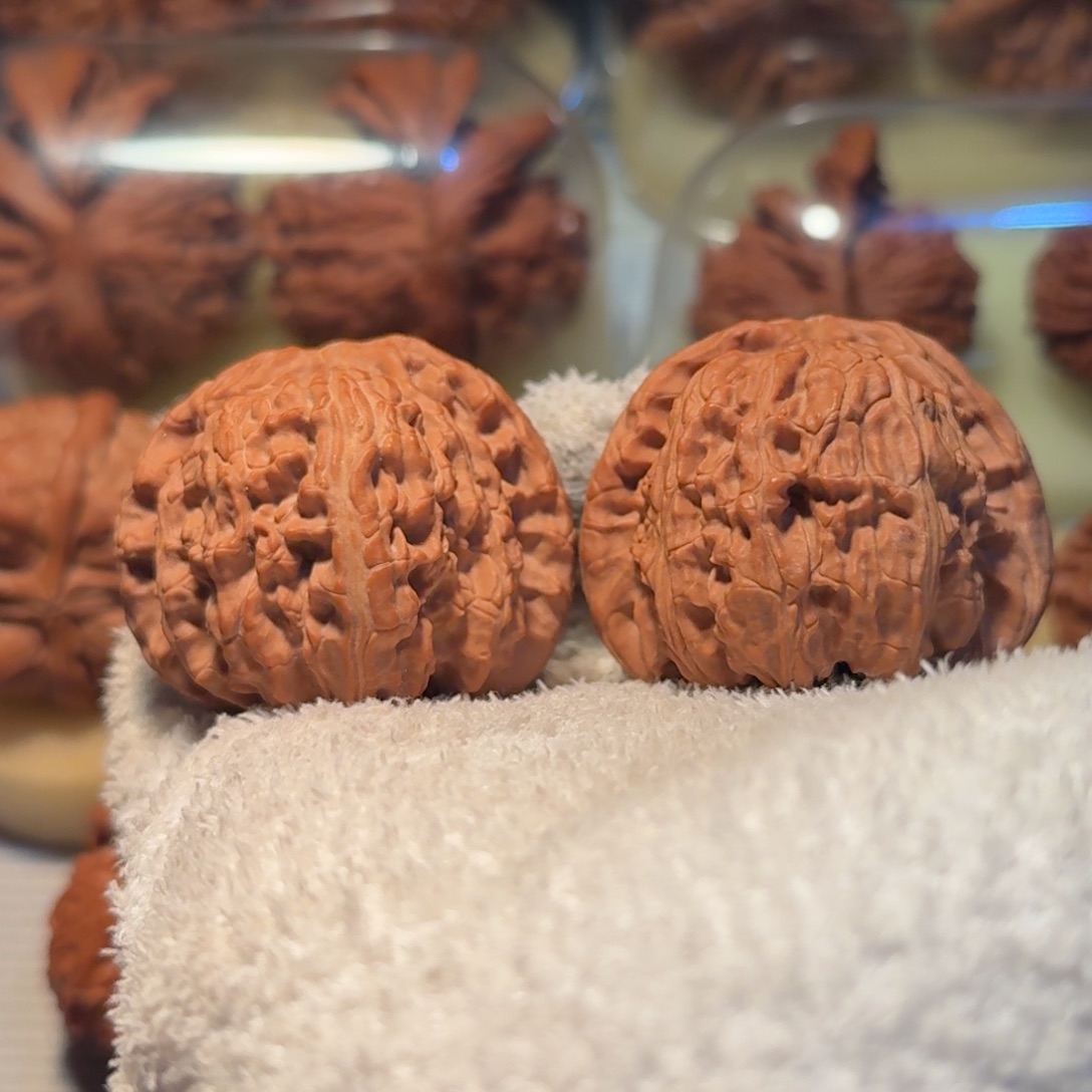 文玩核桃吊坠全品卡姿兰大白45