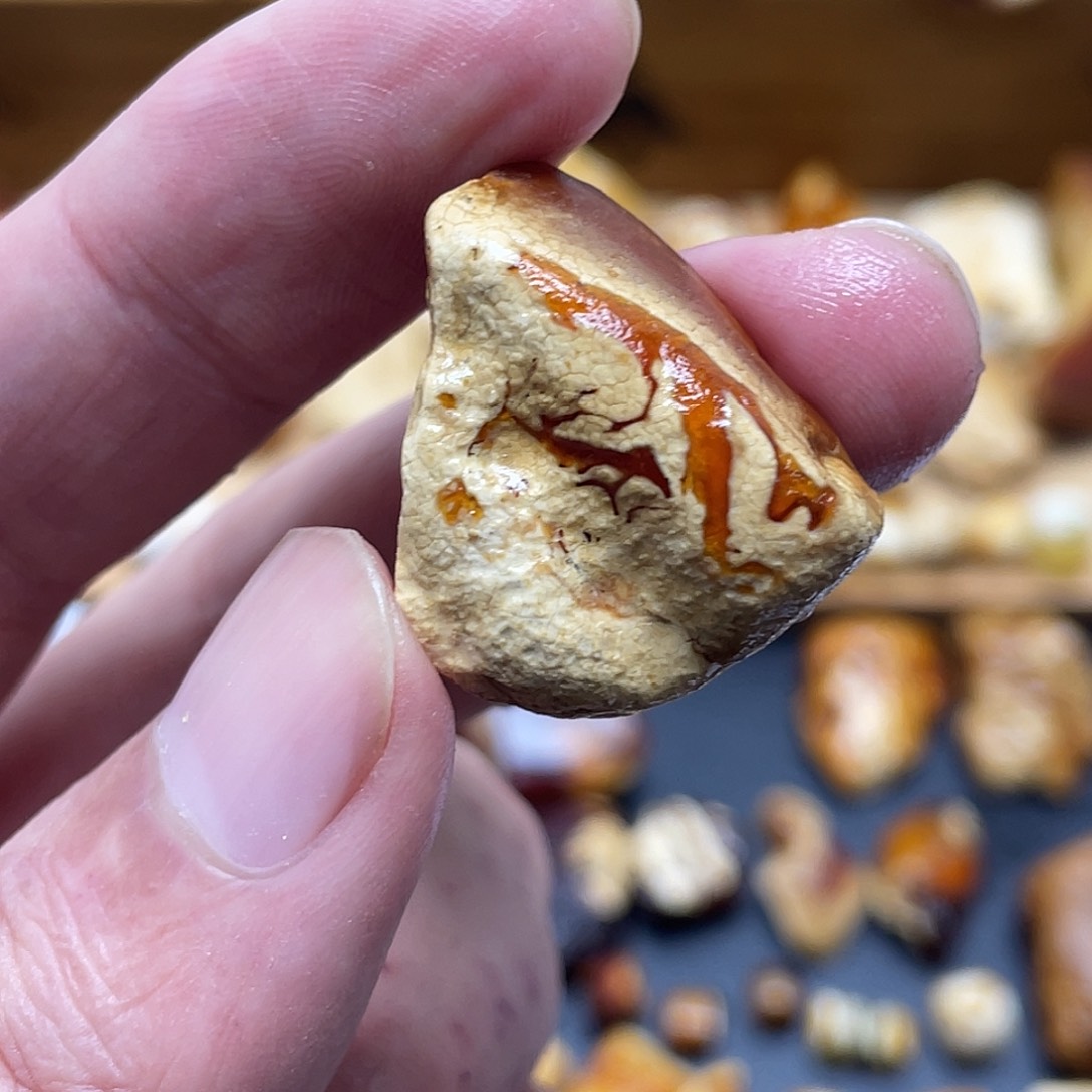 未镶嵌定制琥珀蟹*板定制