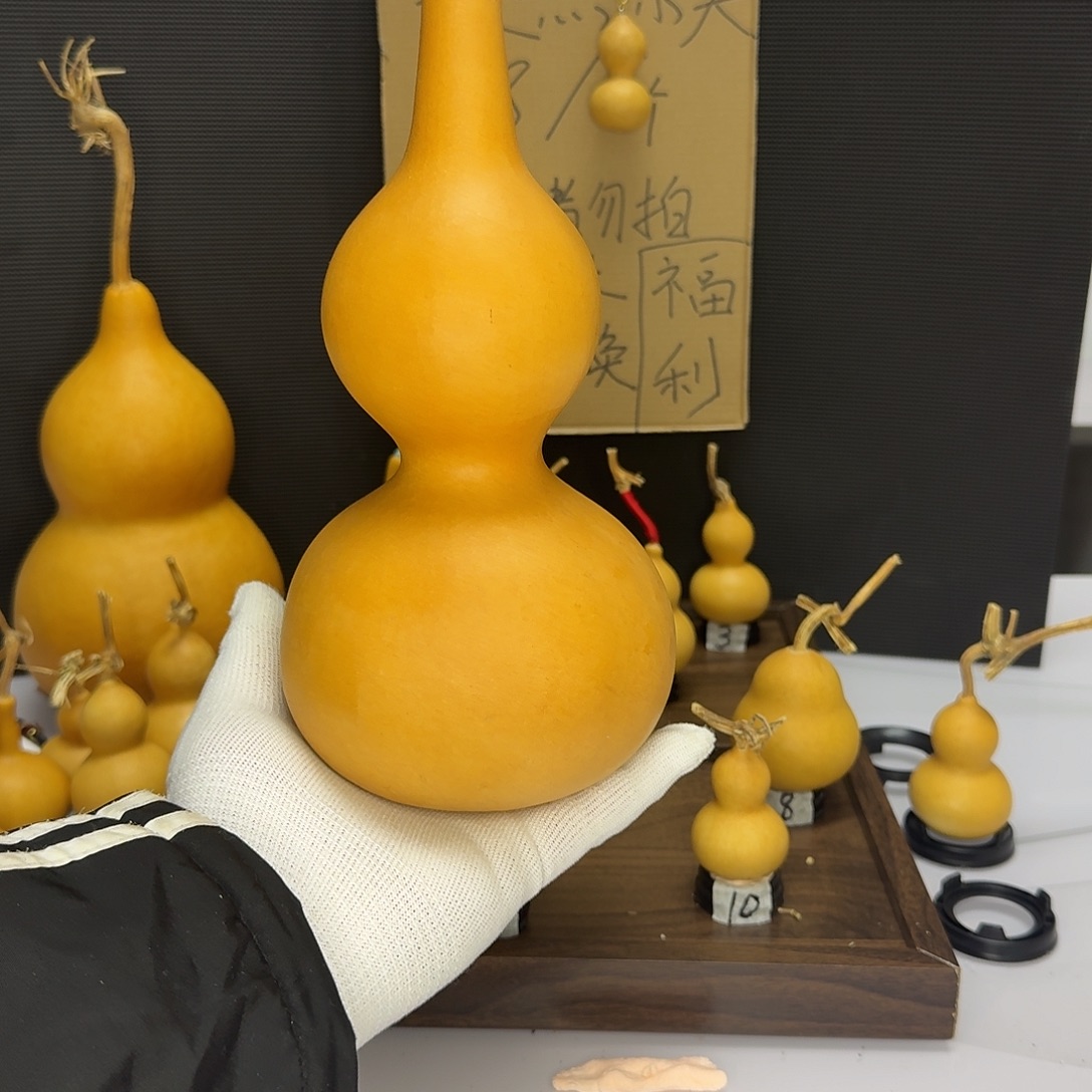 一物一拍 仅限一单