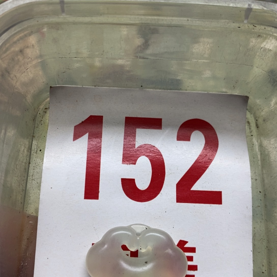 蛇纹石玉挂坠未镶嵌