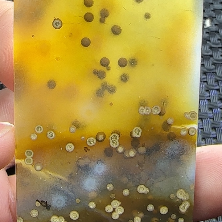 玛瑙/玉髓玛瑙未镶嵌滨**工
