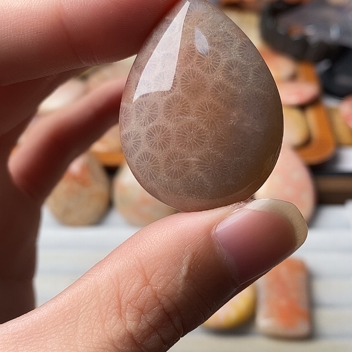 逆***薇硅化珊瑚未镶嵌颈饰